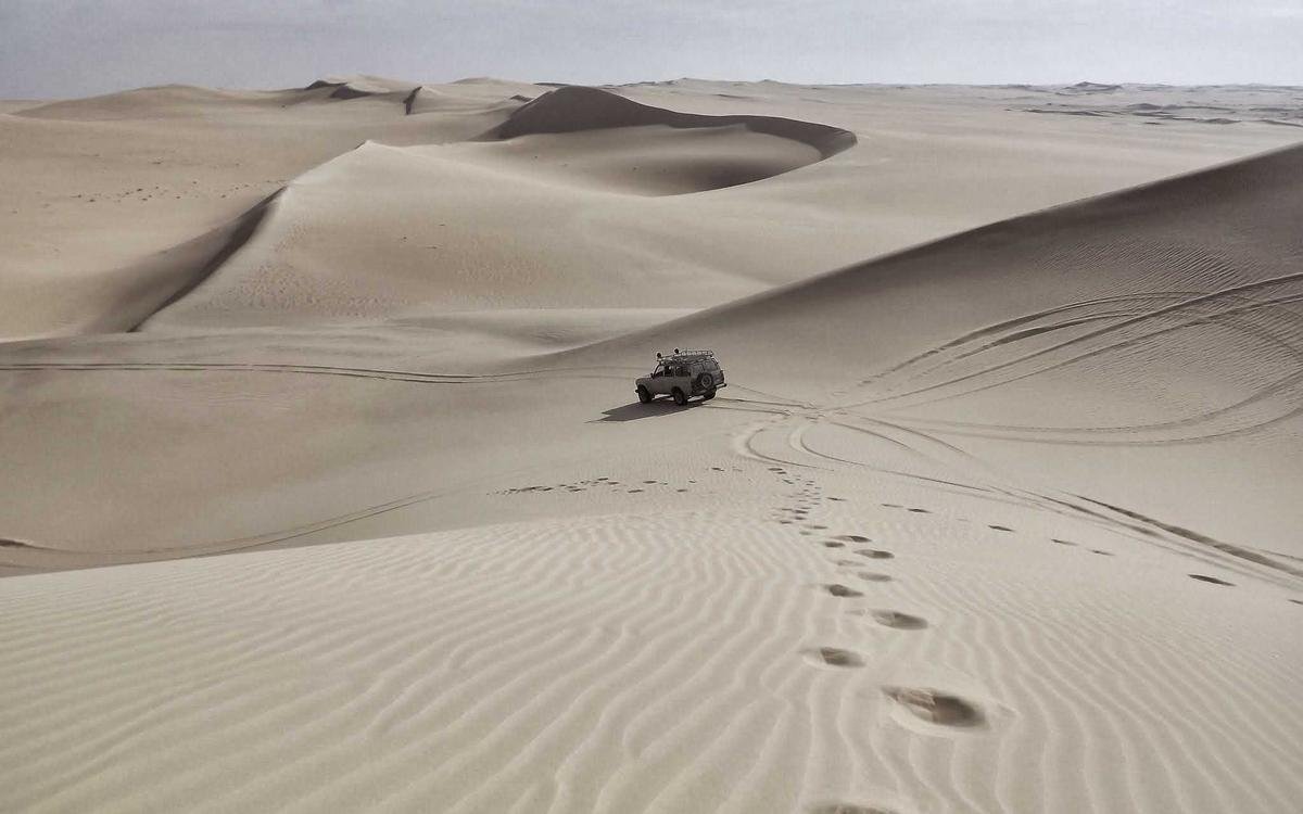 İnsan, Ses ve Sanat: Gerçekçi 3D Görselleştirme